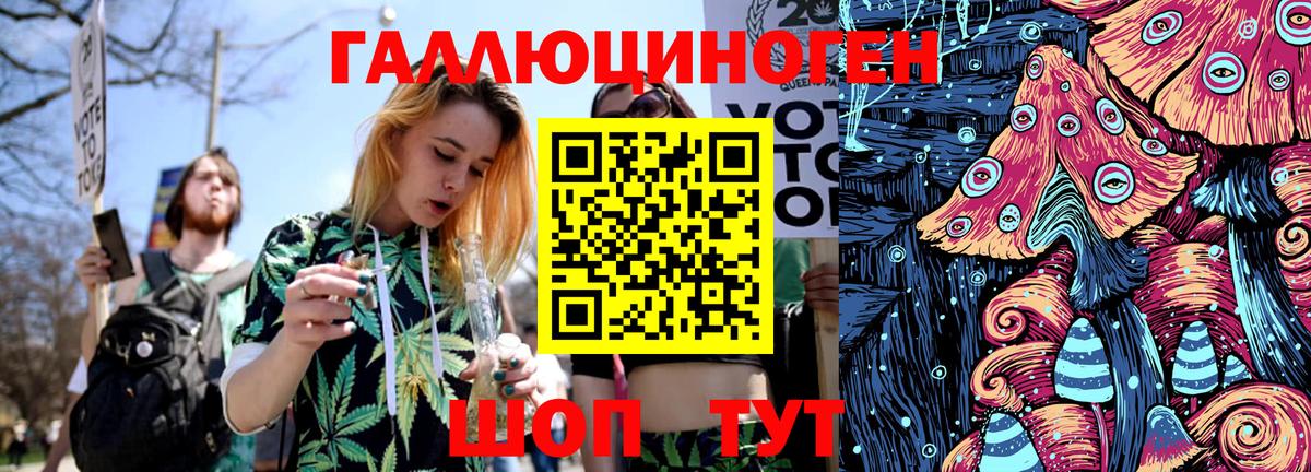 Галлюциногенные грибы Psilocybine cubensis Димитровград