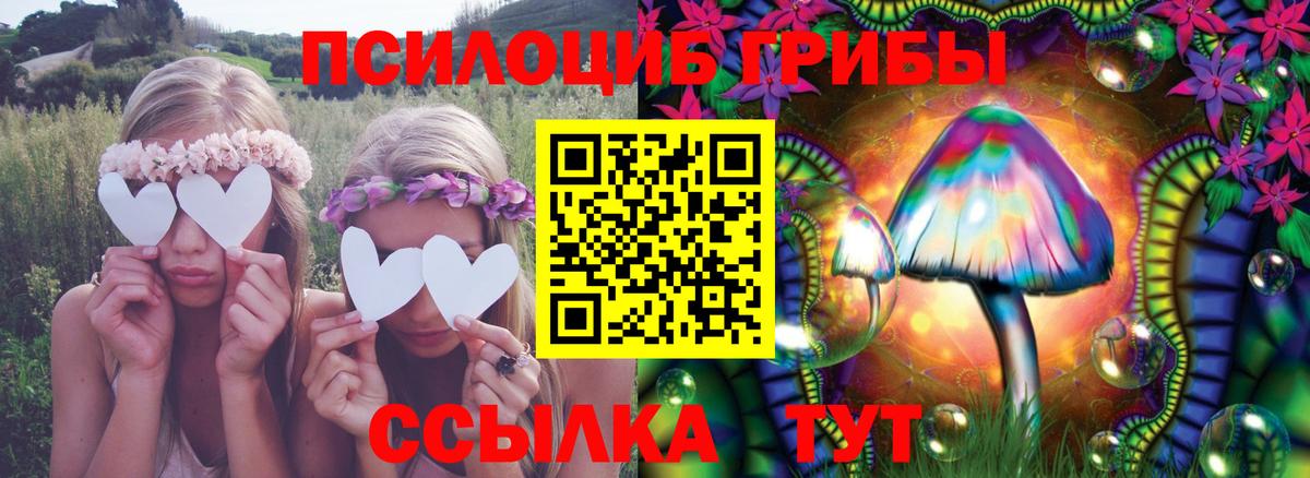 Галлюциногенные грибы Cubensis  Вход с VPN  Димитровград 